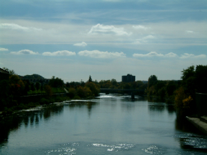 dscf0447.jpg