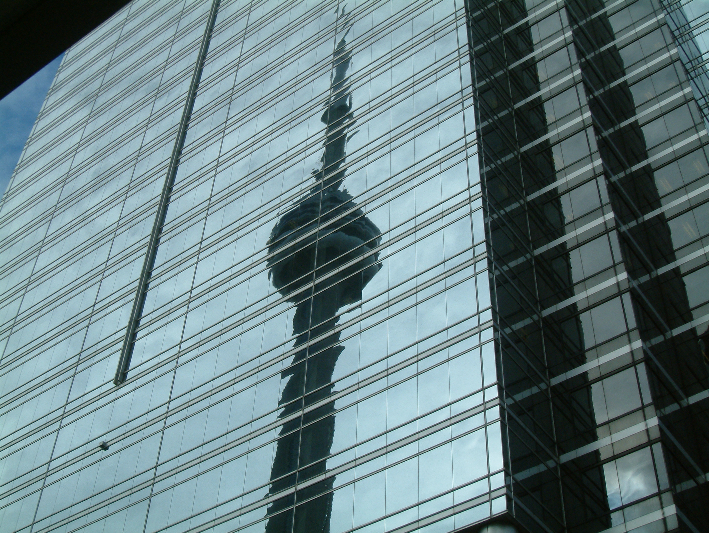 dscf0519.jpg